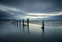 1 in 52 Project 2020 portfolio