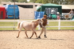 SBM_04529