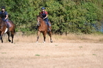 WJ6_7619