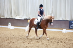 SBM_009013