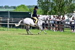 SBM_15278