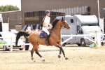 SBM_001696