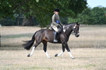 WJ7_7643