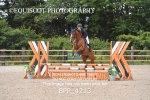 CLASS 11 SUN Club/ Unaffiliated 80cms Open portfolio