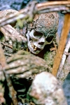 Body in Basket - Papua New Guinea