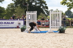 SBM_45735