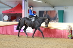 SBM_13542