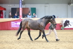 SBM_17496