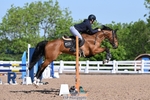 British Novice and 90cm Open portfolio