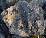 Greenleighton VIII Weathering