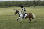 BVHT 140517  IXC -448