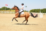 SBM_001321