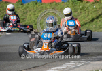 Karting_09-03-2014-7