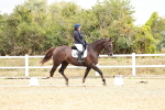 SBM_002950