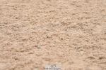 230628A-112800-00262