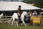 SBM_09137