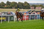 160926-Race 8-Evelyns Phoenix-2177