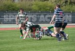 Guernsey v Westcombe Park-33