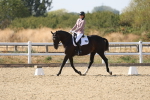 SBM_022690