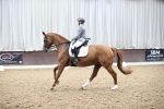 SBM_019627