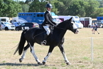WJ6_8210