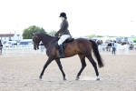 SBM_10833