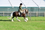 SBM_11392