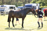 SBM_18054