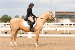 SBM_03773