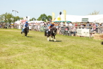 SBM_17282