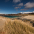 Sunny Dunes