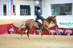 SBM_11931