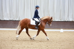 SBM_000664