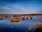 Thorne Moors