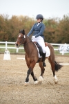 SBM_001678