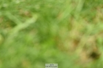 230820X-110746-1140
