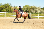 SBM_000663