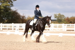 SBM_06218