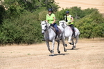 WJ6_8886