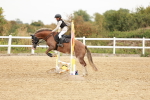 SBM_007281