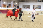 SBM_09947