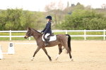 SBM_006493