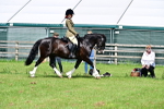 SBM_03715