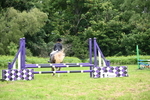 WJ6_5886