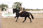 SBM_02912