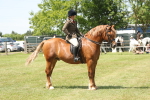 SBM_06959