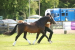 SBM_09124