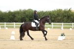 SBM_015047