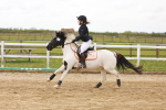 SBM_003961