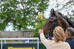 Race 4 16.02pm Charlie Wood Stakes portfolio